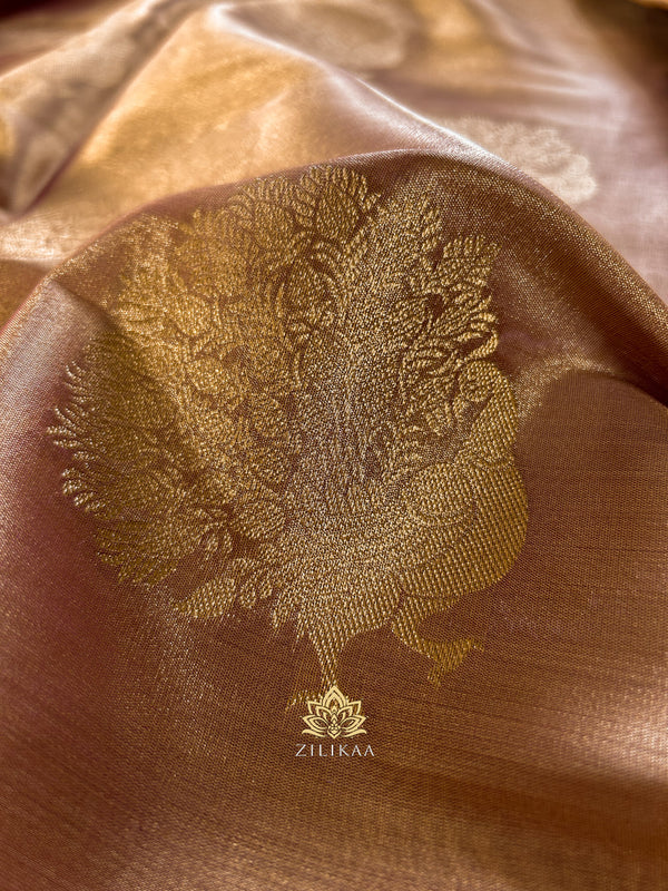 Caramel Gold Kanchipuram Tissue Silk Saree
