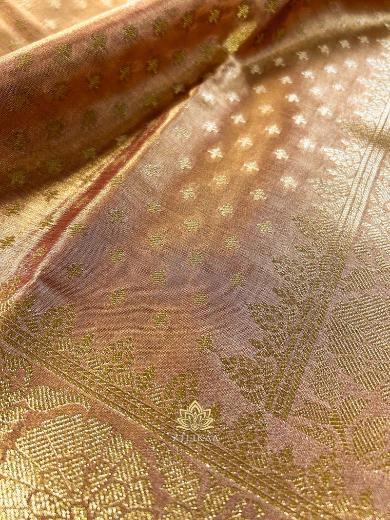 Caramel Gold Kanchipuram Tissue Silk Saree