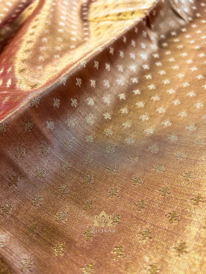 Caramel Gold Kanchipuram Tissue Silk Saree