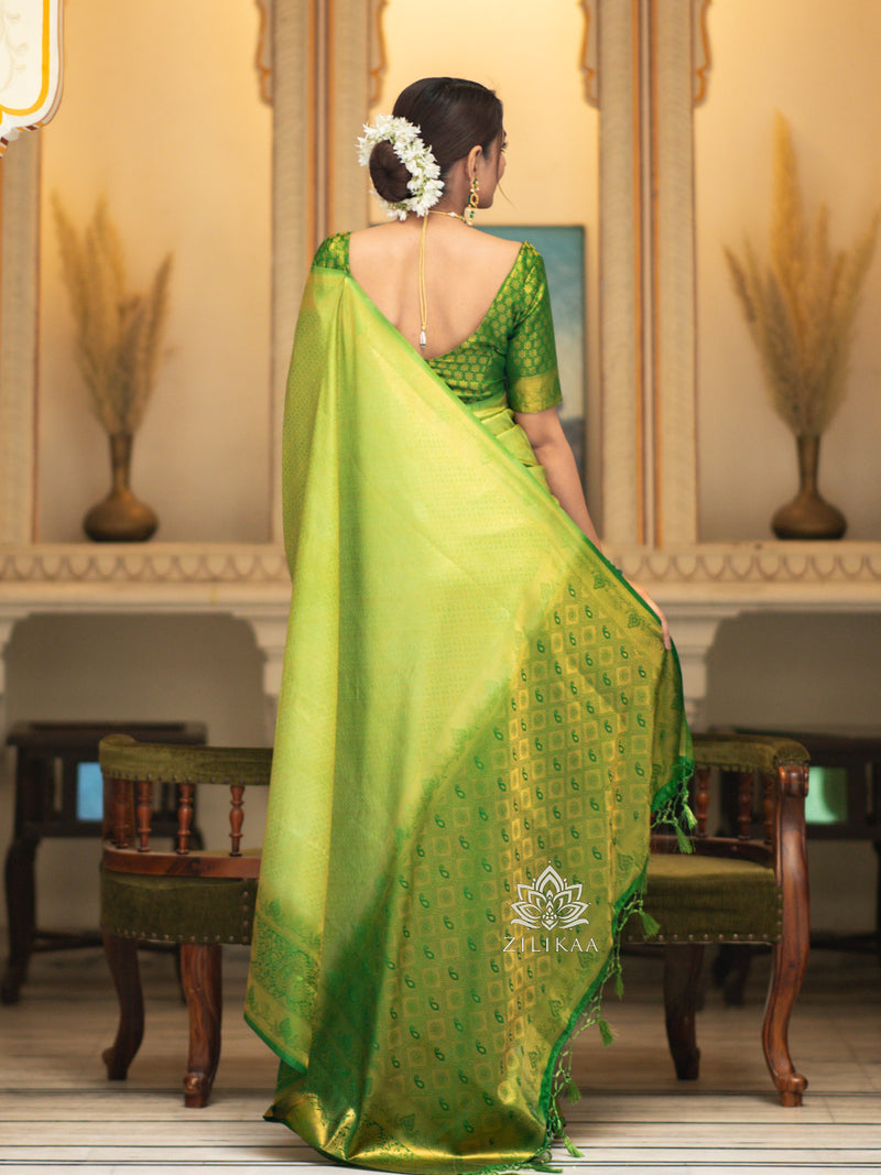 Parrot Green Kanjeevaram Silk Saree