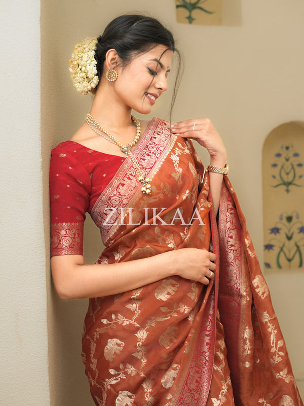 Burnt Orange Munga Silk Saree