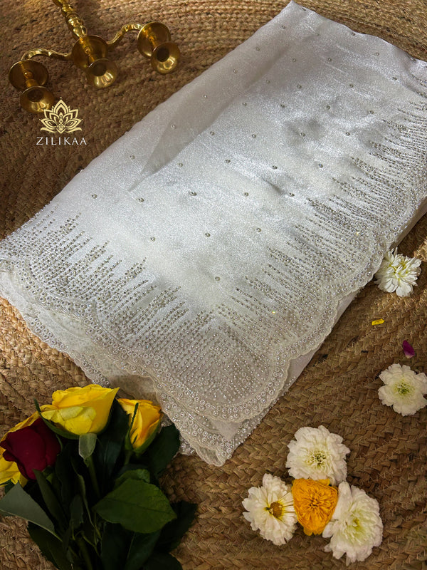Ivory white Tissue Silk Pearl Hand Embroidery Saree