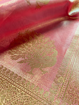 Salmon Pink Kanchipuram Tissue Silk Saree