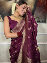 Plum Wine Banarasi Uppada Silk Saree