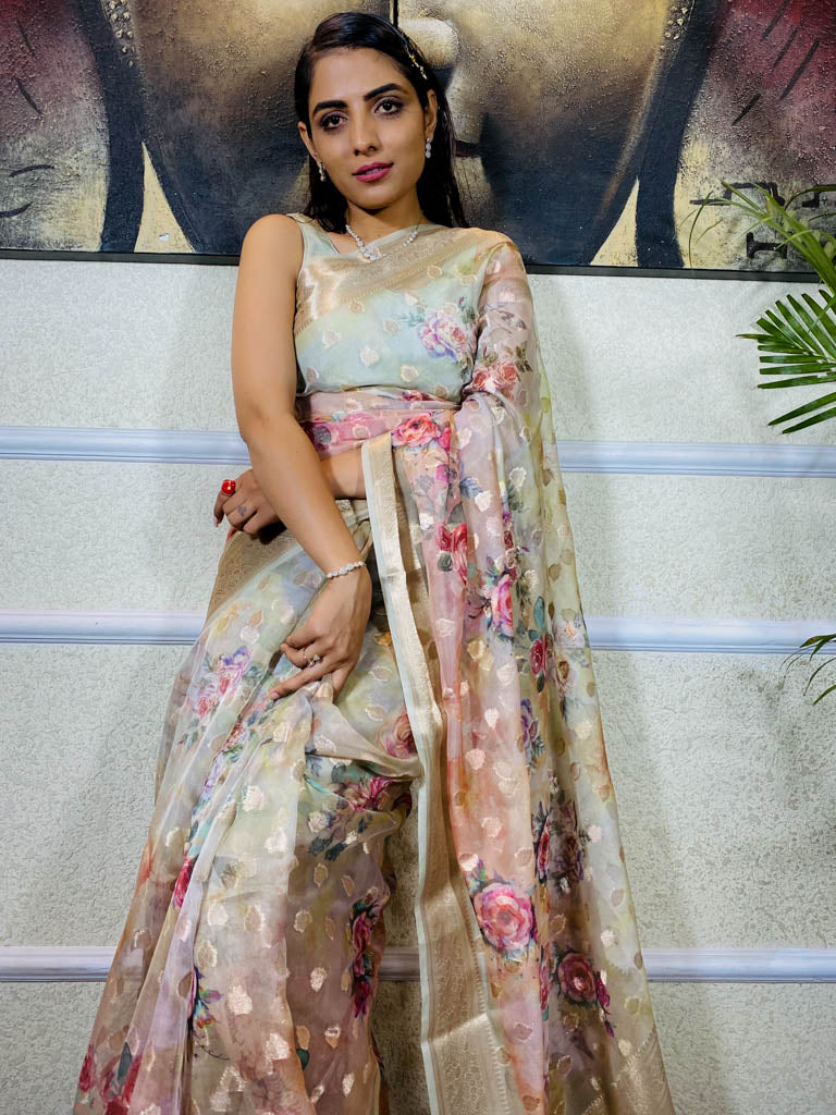 Oyster Tan Organza Silk Saree