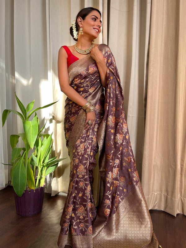 Hazelnut Banarasi Uppada Silk Saree
