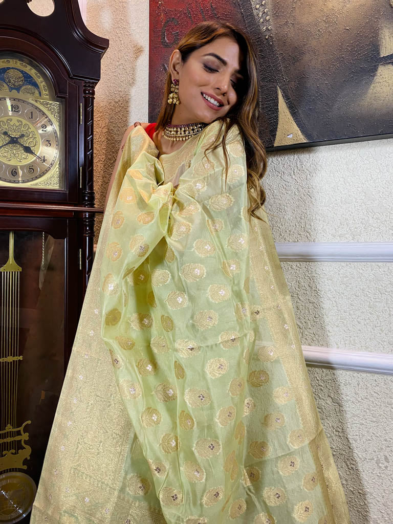 Lime Green Organza Crape Silk Saree