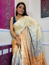 Multi Shade Hand Dyed Banarasi Silk Saree
