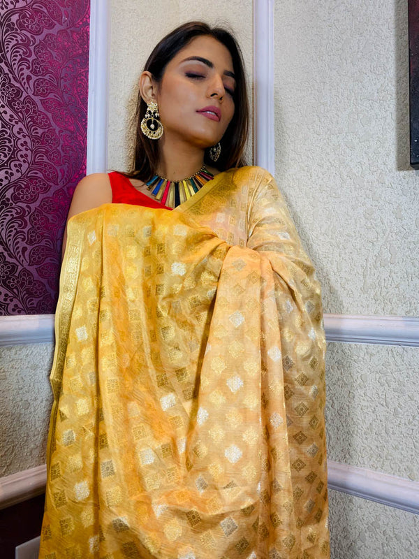 Multi Shade Hand Dyed Banarasi Silk Saree