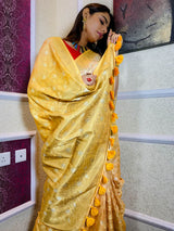 Multi Shade Hand Dyed Banarasi Silk Saree
