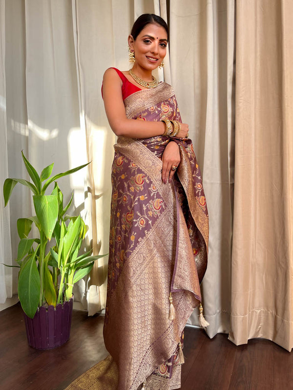 Hazelnut Banarasi Uppada Silk Saree