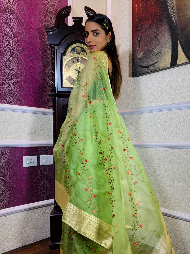 Parakeet Green Organza Silk Saree