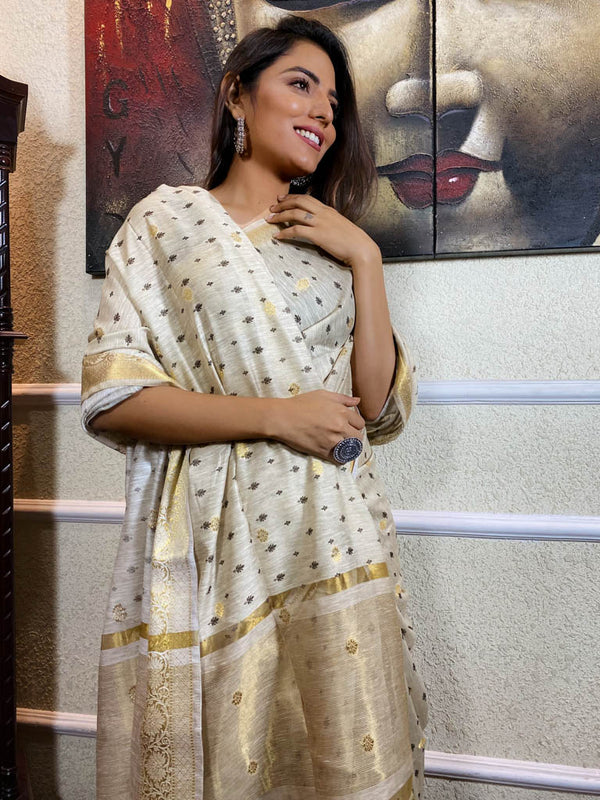 Porcelain White Uppada Cotton Silk Saree
