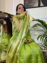 Parakeet Green Organza Silk Saree