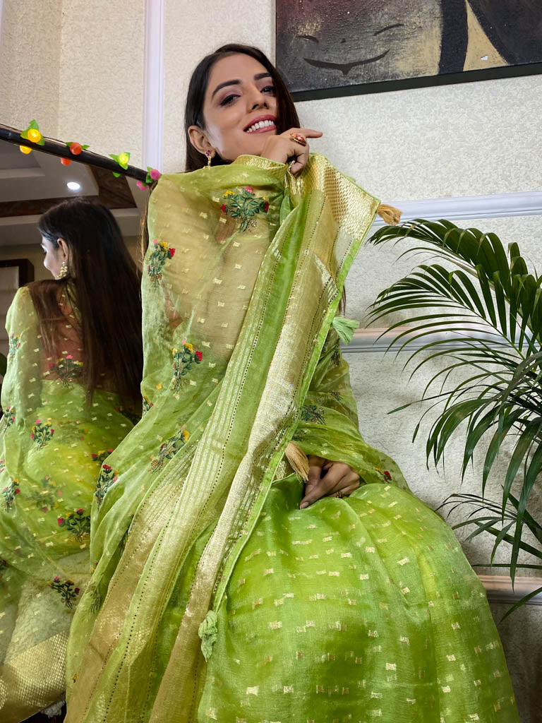 Parakeet Green Organza Silk Saree