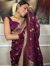 Plum Wine Banarasi Uppada Silk Saree